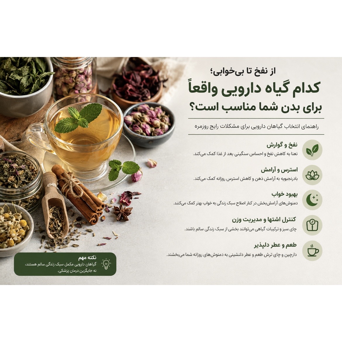 از نفخ تا بی‌خوابیکدام گیاه دارویی واقعاً برای بدن شما مناسب است؟