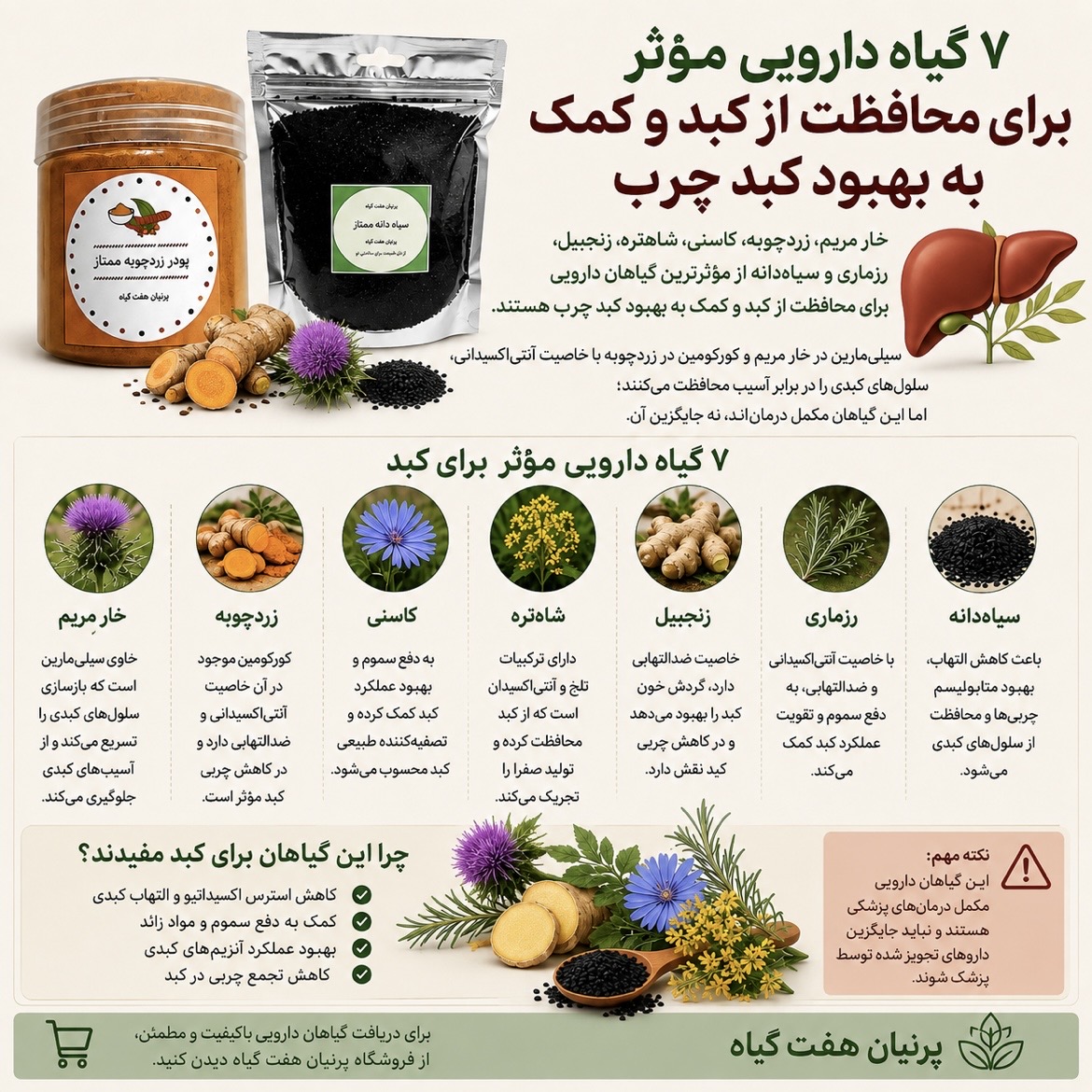 گیاهان دارویی محافظ کبد؛ ۷گیاه علمی برای سلامت و پاکسازی کبد