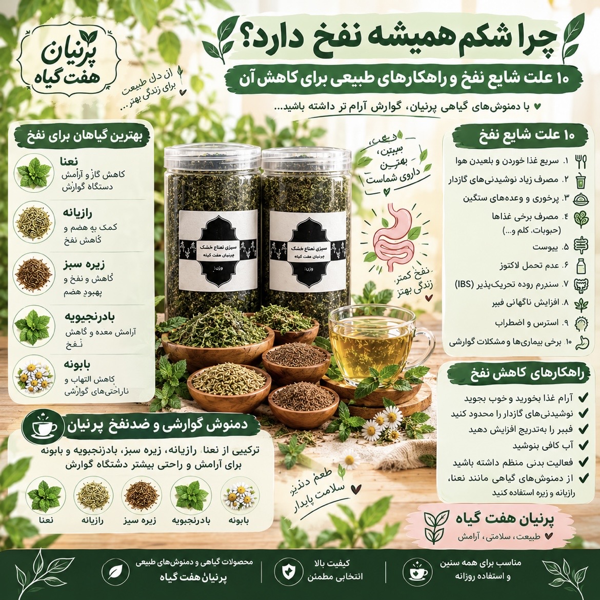 چرا شکم همیشه نفخ دارد؟ ۱۰ علت شایع نفخ و مؤثرترین راه‌های طبیعی برای کاهش آن